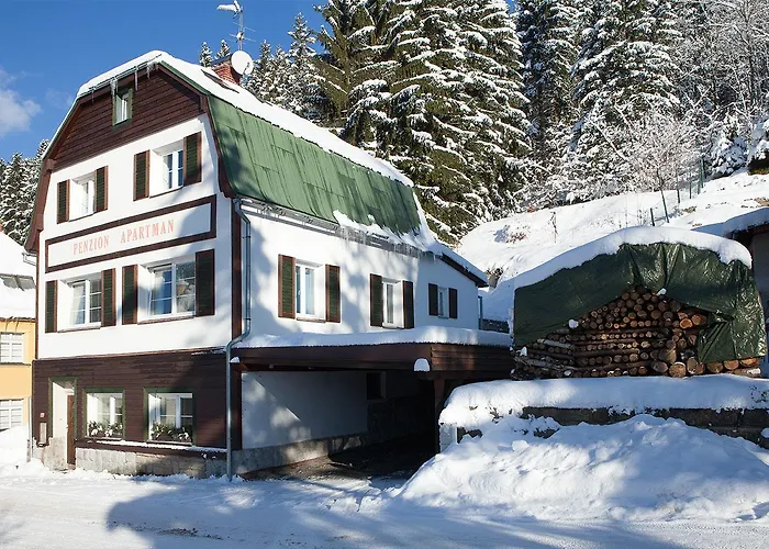 Penzion Apartman Janov